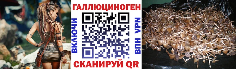 Галлюциногенные грибы мицелий  продажа наркотиков  Томмот 